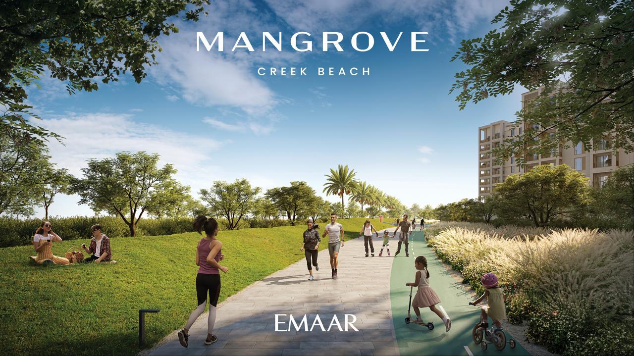 Mangrove at Creek Beach